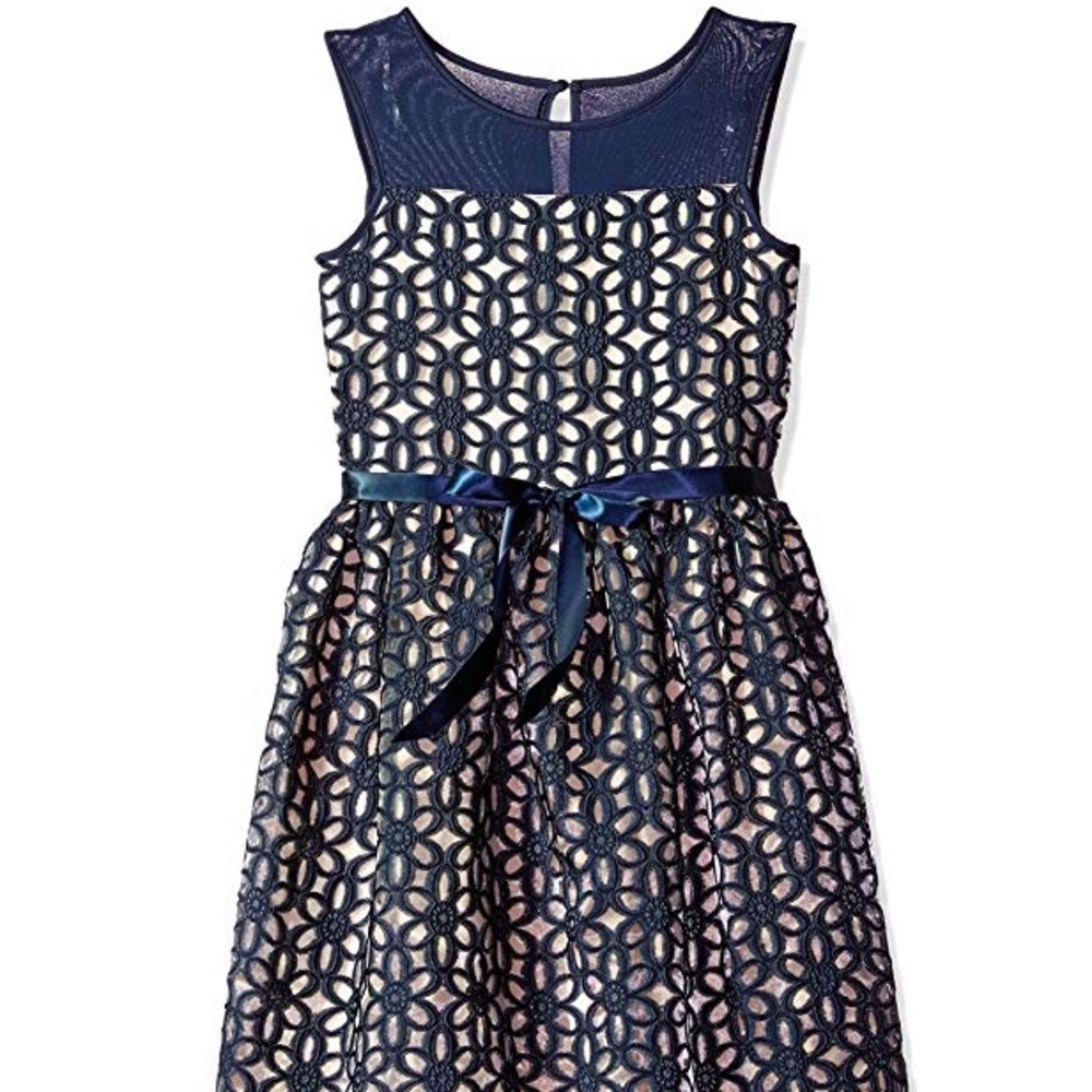 Speechless Girls' Big Embroidered Organza Dress